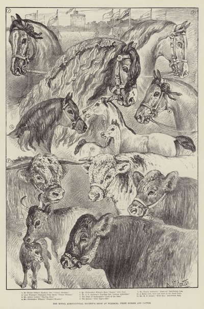 温莎皇家农业协会展，奖马和牛 作者 Samuel John Carter