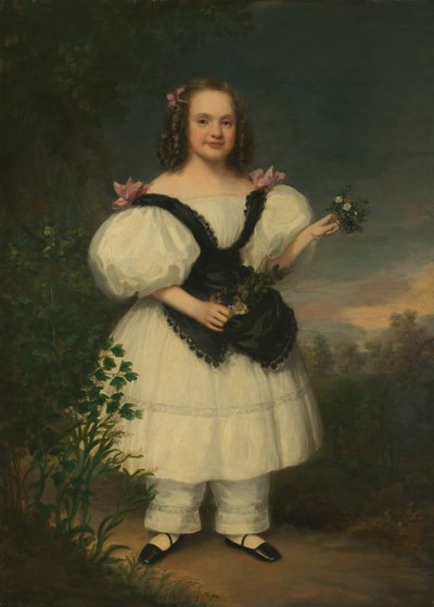 Harriet White, 183540 作者 塞缪尔·洛维特·沃尔多