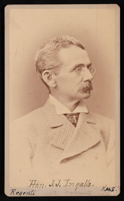 约翰-詹姆斯-英格尔斯的肖像，1833-1900年，1876-1880年间。 作者 塞缪尔·蒙塔古·法塞特
