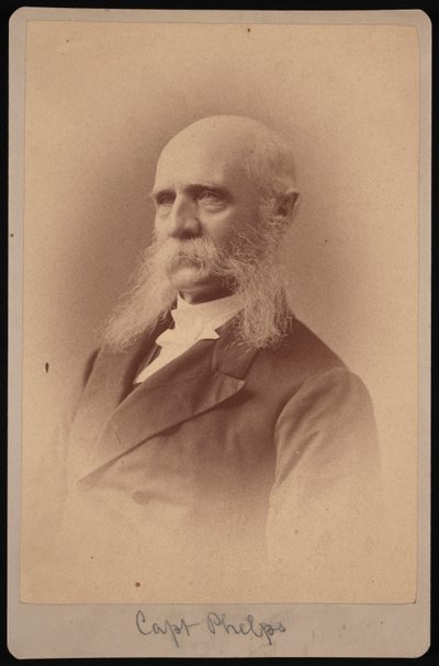 塞斯-莱迪德-菲尔普斯的肖像，1824-1885年，1878年。 作者 塞缪尔·蒙塔古·法塞特