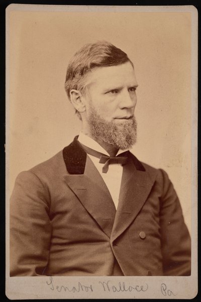 威廉-安德鲁-华莱士的肖像，1827-1896年，1876-1880年间。 作者 Samuel Montague Fassett