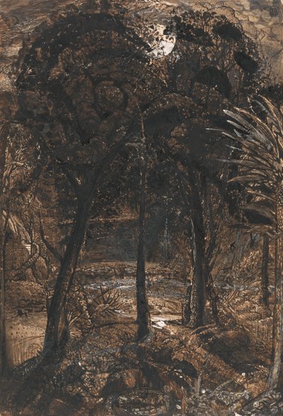 月色蜿蜒的河水 作者 塞缪尔·帕尔默（Samuel Palmer）