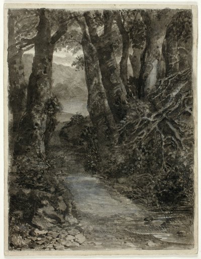 林地研究 作者 塞缪尔·帕尔默（Samuel Palmer）
