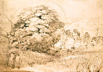 穿过玉米田的小路，约1832-33（纸上水彩）。 作者 塞缪尔·帕尔默（Samuel Palmer）