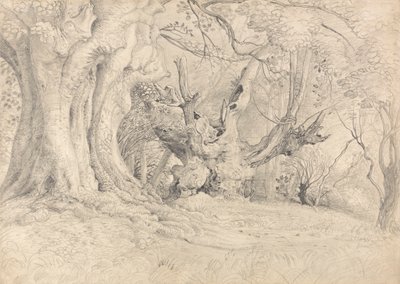 古树，卢灵石公园 作者 塞缪尔·帕尔默（Samuel Palmer）