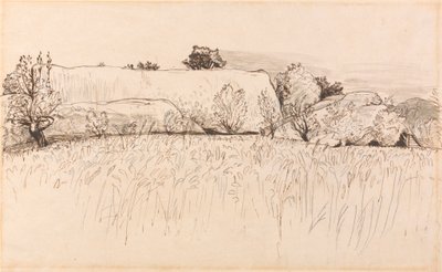 带谷仓的玉米田，肖勒姆 作者 塞缪尔·帕尔默（Samuel Palmer）