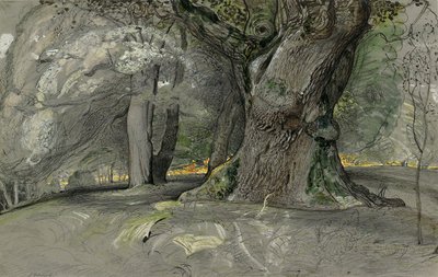 橡树和山毛榉，劳灵斯通公园 作者 塞缪尔·帕尔默（Samuel Palmer）