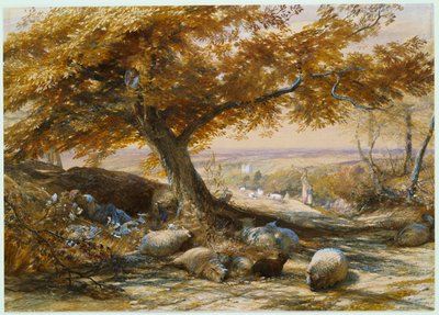 阴凉处的羊，约1851年 作者 塞缪尔·帕尔默（Samuel Palmer）