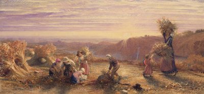 拾穗场上的日落 作者 塞缪尔·帕尔默（Samuel Palmer）