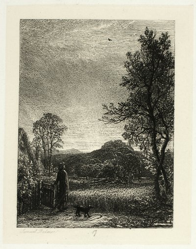 云雀 作者 塞缪尔·帕尔默（Samuel Palmer）