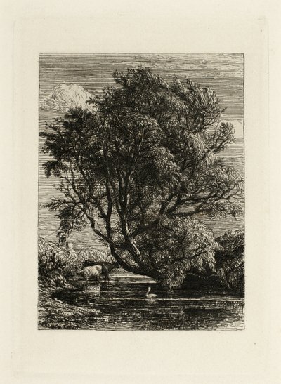 柳树 作者 塞缪尔·帕尔默（Samuel Palmer）