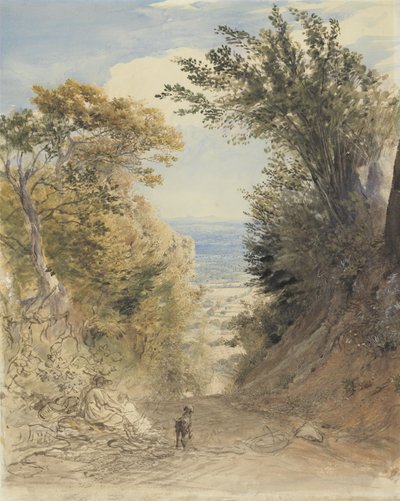 肯特，Rook&39;s Hill的景色 作者 塞缪尔·帕尔默（Samuel Palmer）