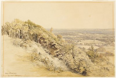 从肯特郡威尔莫茨山远眺 作者 塞缪尔·帕尔默（Samuel Palmer）