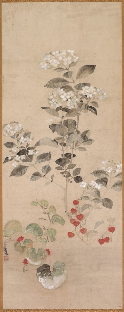 夏花 作者 塞缪尔·普鲁特