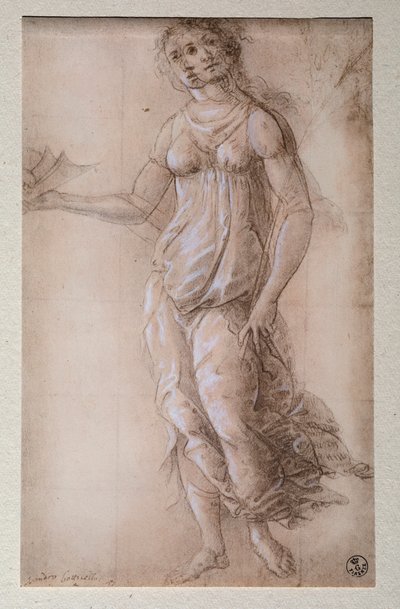 帕拉斯（素描，1491年后 作者 桑德罗·波提切利（Sandro Botticelli）