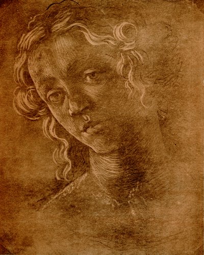 女头 作者 桑德罗·波提切利（Sandro Botticelli）
