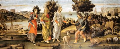 巴黎审判 作者 桑德罗·波提切利（Sandro Botticelli）和工作室