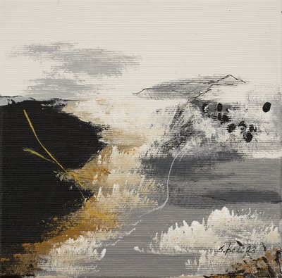  作者 