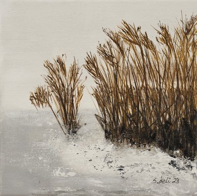  作者 