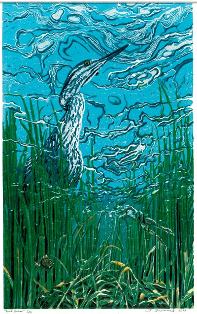 池塘眺望者，2024 年（连环画） 作者 萨拉·德拉蒙德