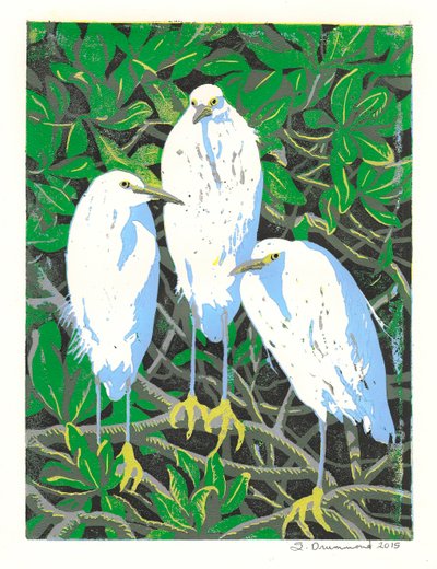三重奏，2015（连环画） 作者 萨拉·德拉蒙德