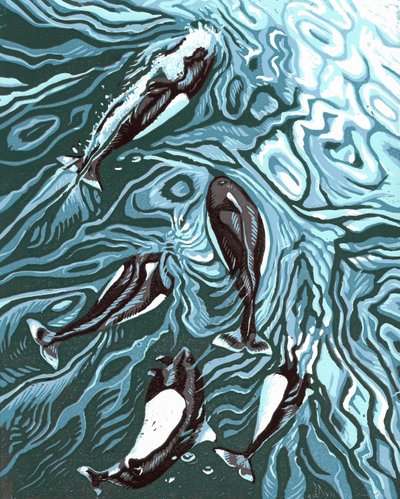 唤醒骑士》，2016 年（连环画） 作者 萨拉·德拉蒙德