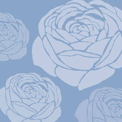 Brandon Rose，2005（数字化） 作者 莎拉·霍夫