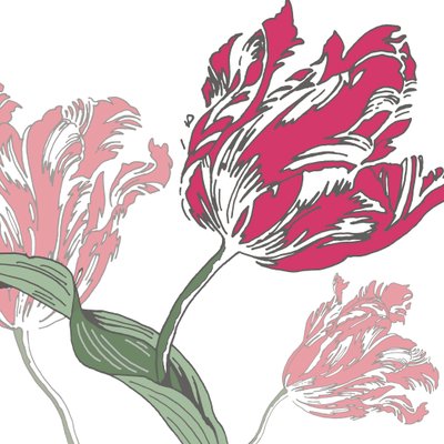 去荷兰，2005（数字） 作者 莎拉·霍夫