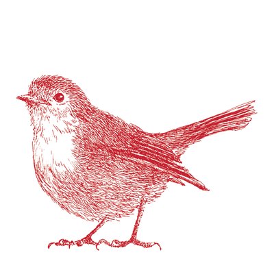 Robin, 2017 作者 莎拉·霍夫