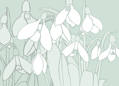 Snowdrops, 2017 作者 莎拉·霍夫