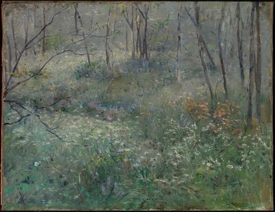 野生欧芹 作者 莎拉·帕克斯顿（Sarah Paxton Ball）Dodson