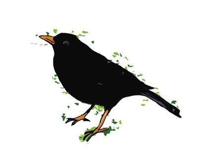 Blackbird,2018,(digital drawing) 作者 莎拉·汤普森·恩格斯