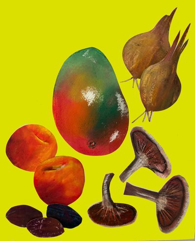水果和蔬菜,2020年,剪纸 作者 莎拉·汤普森·恩格斯