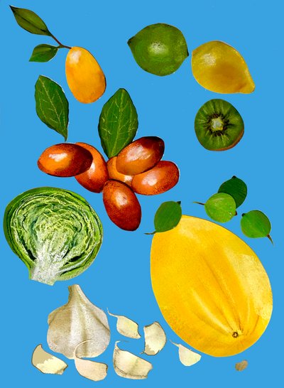 Fruit & veggies 2020 (cutout) 作者 莎拉·汤普森·恩格斯