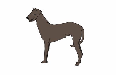 Hound,2018,(digital drawing) 作者 莎拉·汤普森·恩格斯
