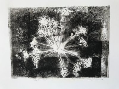 Seedhead II,2020,(monoprint) 作者 莎拉·汤普森·恩格斯