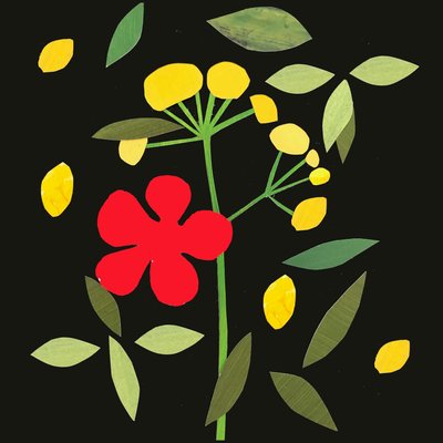 petals and leaves,2019 (collage) 作者 莎拉·汤普森·恩格斯