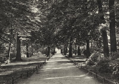 Berlin: Tiergarten (b/w photo) 作者 萨沙·斯通（Sasha Stone）