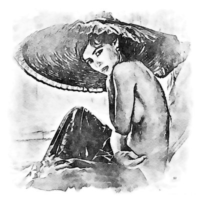 一顶大帽子的女人 作者 SaskiaBJ