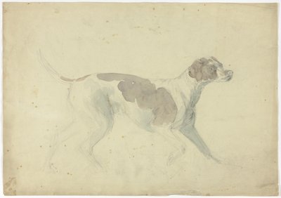 猎狐犬（正面）；马和骑手素描（背面） 作者 索里·吉尔平（Sawrey Gilpin）