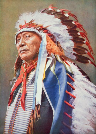 Chief Hollow Horn Bear (1850-1913)（彩色石版画） 作者 美国学校