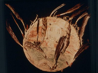 勇士之盾，夏安部落（水牛皮和羽毛）。 作者 美国学校