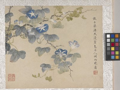 8 叶花卉册，17 世纪中期（纸张上的墨水和色彩） 作者 学校中文