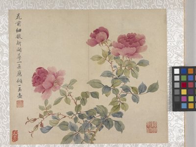 8 叶花卉册，17 世纪中期（纸张上的墨水和色彩） 作者 学校中文