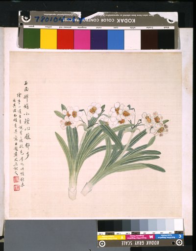 花鸟册》，日期不详（绢本水墨和彩色） 作者 学校中文