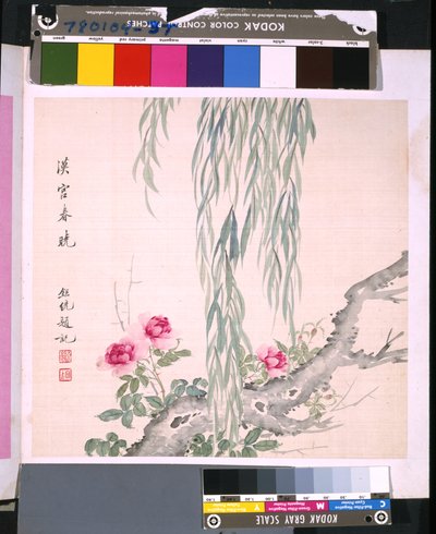 花鸟册》，日期不详（绢本水墨和彩色） 作者 学校中文