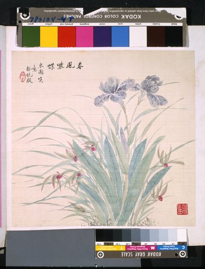 花鸟册》，日期不详（绢本水墨和彩色） 作者 学校中文