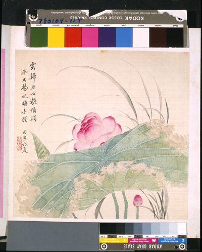 花鸟册》，日期不详（绢本水墨和彩色） 作者 学校中文