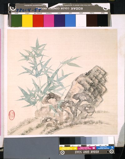 花鸟册》，日期不详（绢本水墨和彩色） 作者 学校中文