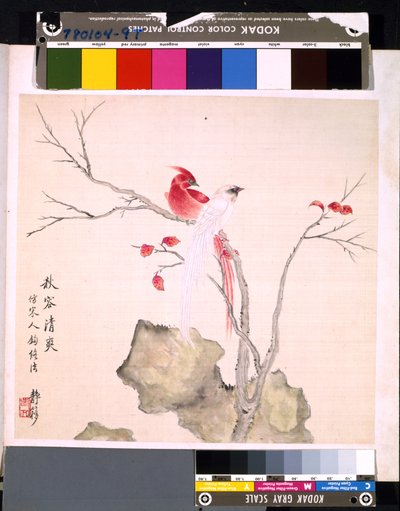 花鸟册》，日期不详（绢本水墨和彩色） 作者 学校中文